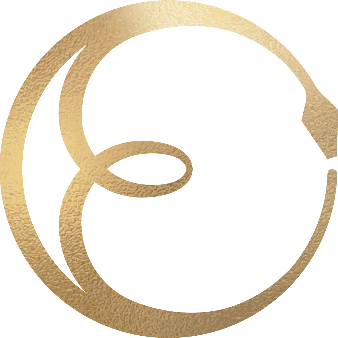 Edy Nathan Logo Image Icon